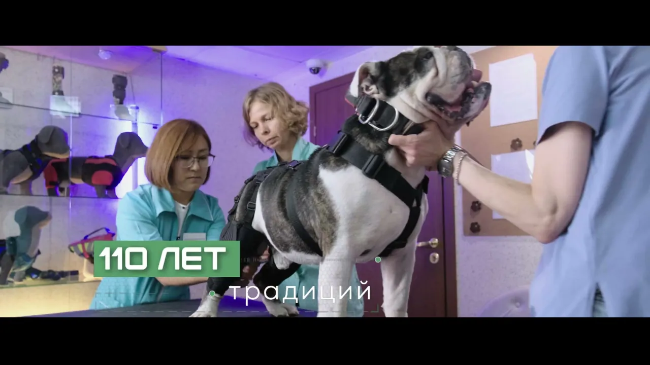 Имиджевый ролик МПРОП социальный продукт