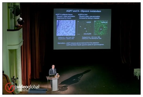 Организация видеотрансляции в зале