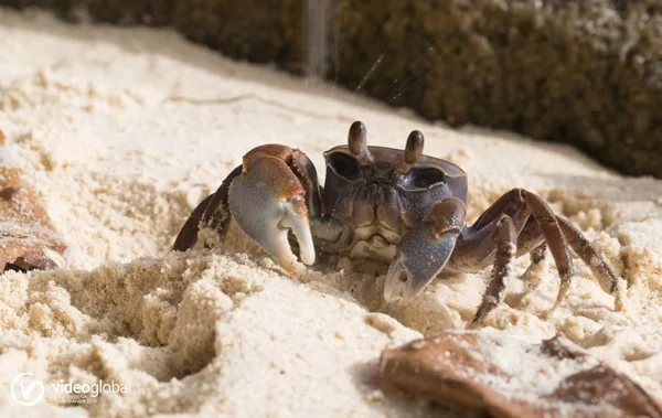 Съёмка выездного мероприятия