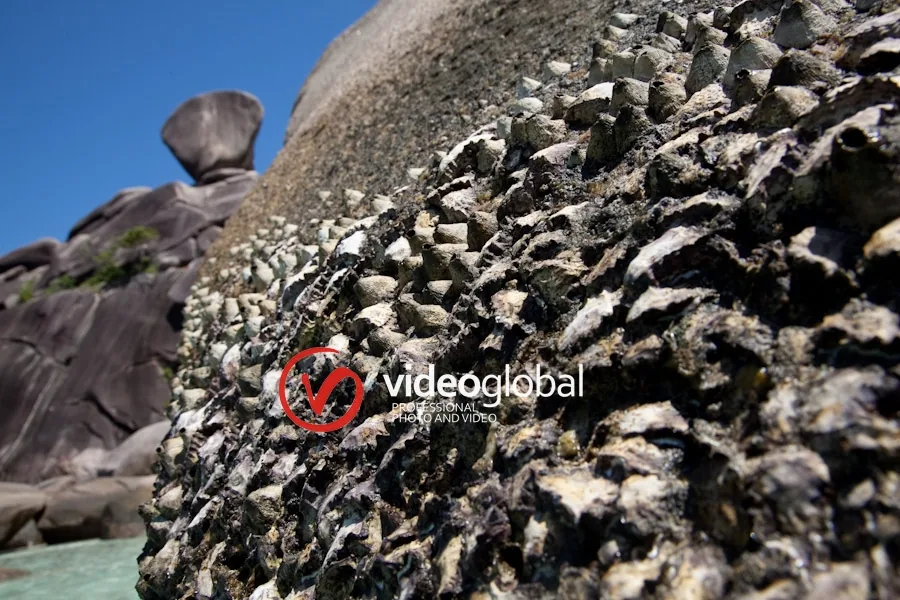 фотограф на отдых